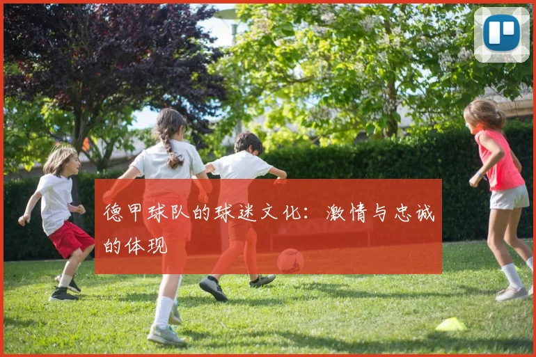 德甲球队的球迷文化：激情与忠诚的体现