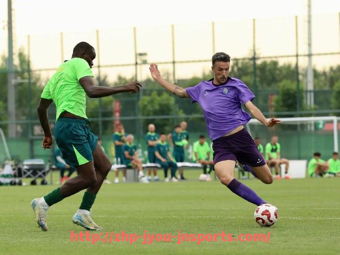 jiuyou九游娱乐-德甲历史上使用过的足球球队及其发展轨迹