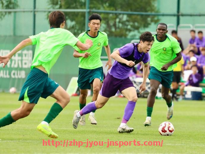 jiuyou九游娱乐-法甲球队外援整体分析及引援策略探讨